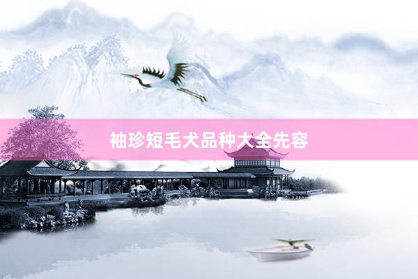 袖珍短毛犬品种大全先容