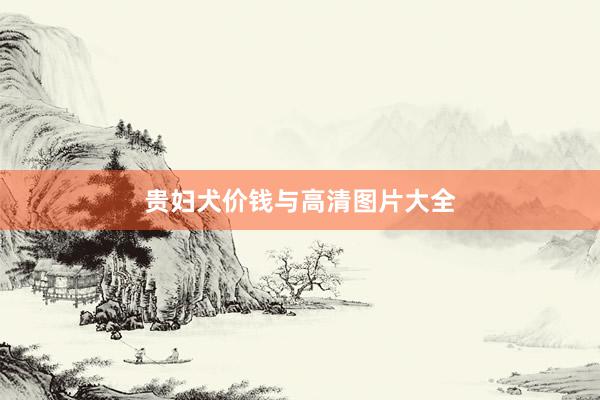 贵妇犬价钱与高清图片大全